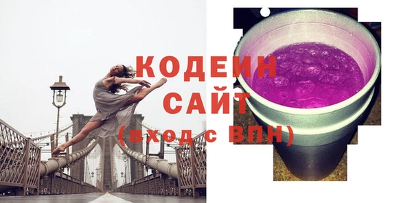 хмурый Абаза