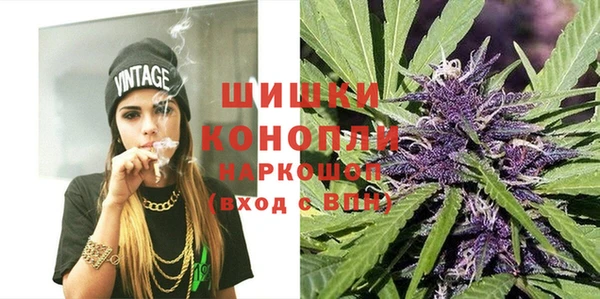 хмурый Абаза