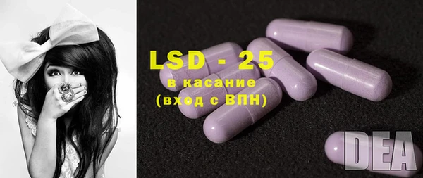 хмурый Абаза