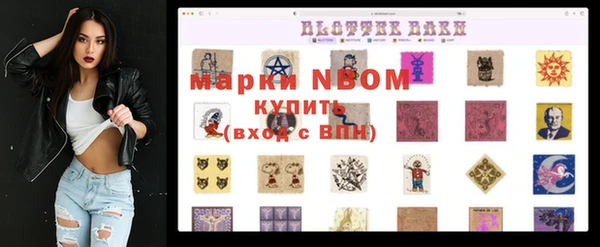 хмурый Абаза