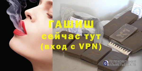 хмурый Абаза