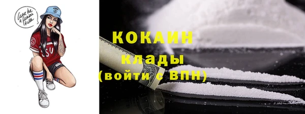 хмурый Абаза