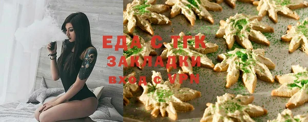 хмурый Абаза