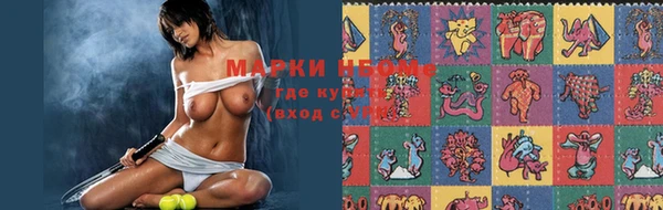 хмурый Абаза